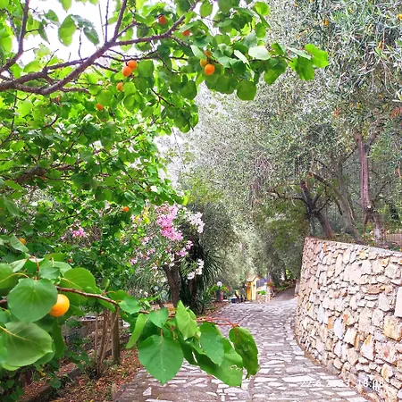 Berio Tre - Kelan Villa Viani